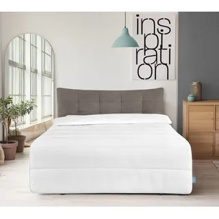 XDREAM Energiespardecke | extra warme Winterbettdecke super weich | Öko-Tex Zertifiziert | 60 Grad waschbar | Bettdecke für Allergiker | 100% Mikrofaser | 135 x 200 cm