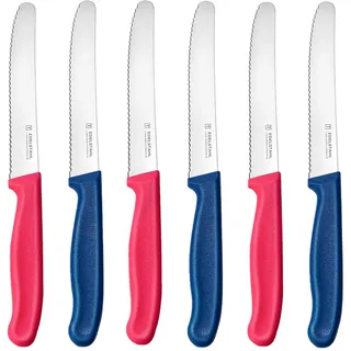 targzier Frühstücksmesser Set 6 Stück,Hochwertige Edelstahl Tafelmesser,Langlebiges Bunte Tomatenmesser,Kunststoffgriff Brötchenmesser Wellenschlif,Schneidemesser,Scharf Messer(Rosy und Blau)
