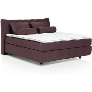 Mivano Boxspringbett Free/Komfortables Bett in Schwebe-Optik mit Federkern-Matratzen und Topper Basic/Härtegrade H2 + H2 / Liegefläche 180 x 200 / Liegehöhe 60 cm/Velours, Lila