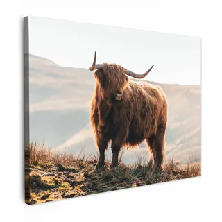 MuchoWow© Leinwandbild Dekoration Wohnzimmer Bilder Aufhängen Wall | 70x50 cm - Decoration Living Room Wohnungs Deko Moderne Schottisches Hochlandrind - Highland Cow - Tiere - Landschaft - Kuh