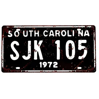DiiliHiiri US-Auto-Nummernschild, Replikation, amerikanisches Vintage-Schild, Retro-Dekoration für Bar, Pub, Café, Höhle für Männer, Garage oder Werkstatt, 15 x 30 cm, Poster (2651-25)