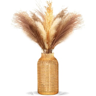Tiamu Blumenvase im Nordisch für Pampasgras, Kleine für , Glasvase Tulpenvase, Bodenvase, Modern Vase für Bücherregal, Wohnzimmer, Hochzeit Weihnachten Geschenk(8.5 * 16 * 4.5cm)