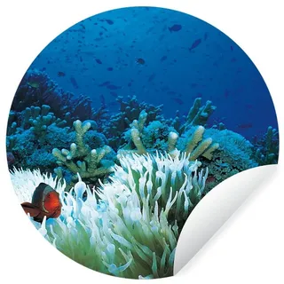 MuchoWow Wandsticker Unterwasserwelt mit Clownfischen (1 St), Runde Aufkleber für Wohnzimmer, Selbstklebend, 100x100 cm bunt 100 cm x 100 cm x 0.1 cm