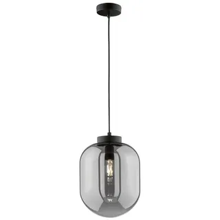 FISCHER & HONSEL LED Pendelleuchte, LED wechselbar, Warmweiß, Industrial Rauchglas Glas-Kugel einflammig Schwarz hängend Ø24cm klein schwarz