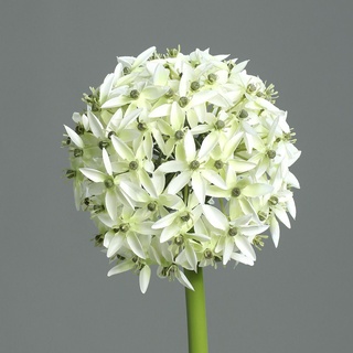 Kunstblume Allium (DH 19x70 cm) - weiß