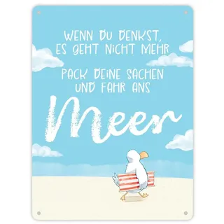 speecheese Möwe Metallschild XL in 21x28 cm mit Spruch Fahr ans Meer Strandliebe Nordlicht - Dein Urlaub im Norden beginnt mit Meer-Feeling Zuhause