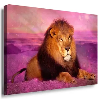 Julia-Art - Bilder Löwe Leinwand mit Keilrahmen 60 x 40 cm Leinwandbild XXL Wandbild Tiere Kunstdrucke Tierwelten Bild Wanddesign Wanddekoration c-642v-177