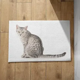 EHOMERY Fußmatte Selbst Gestalten Türmatte rutschfest Katze Fußmatte Außen Personalisiert Familie Türmatte Cute 40x60cm, rutschfeste Dekorative Fußmatte Aus Plüschbaumwolle