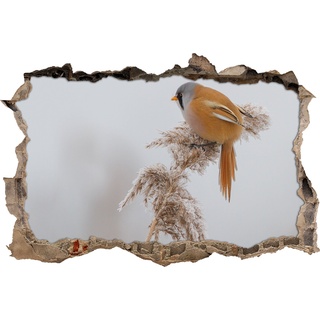 Pixxprint 3D_WD_S1103_62x42 kleiner dicker Vogel auf winterlicher Pflanze Wanddurchbruch 3D Wandtattoo, Vinyl, bunt, 62 x 42 x 0,02 cm