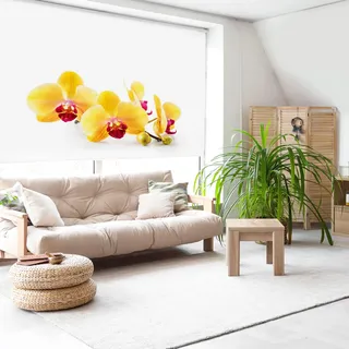 Blindecor Digital | Rollo transparent Bedruckt | Familie Zen| Modell Z-Yellow | 110 x 180 cm (Breite x Höhe) | Stoffgröße 106 x 175 cm | Fensterrollos