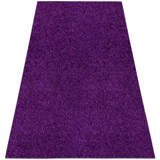 RugsX Eton Teppichboden 200 x 300 cm Lila