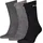 grau 39-42