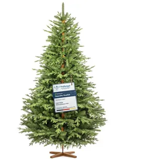 Fairytrees Künstlicher Weihnachtsbaum FT33, Alpentanne Premium, Alpentanne Premium grün 220 cm