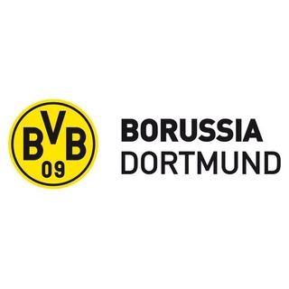 Wall-Art Wandtattoo BVB Borussia Schriftzug mit Logo (1 St), selbstklebend, entfernbar bunt 180 cm x 59 cm x 0,1 cm