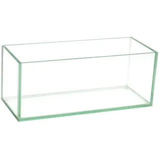 Royal Imports Blumenvase, Glasvase, dekorativer Tafelaufsatz für Zuhause oder Hochzeit, längliche, rechteckige Form, 25,4 cm lang, 10,2 cm hoch, 10,2 cm breit, Transparent