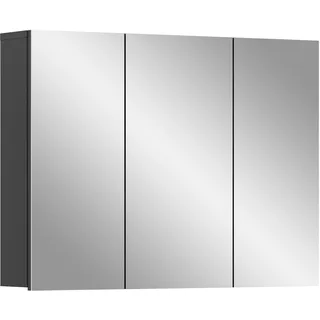 xonox.home Spiegelschrank 80 cm x 60 cm x 15 cm Grau