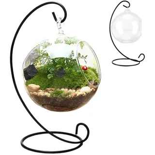 Luftpflanzen-Terrarium, mit schwarzem Eisenständer, Klarglas-Terrarien für Pflanzen, zum Aufhängen, lustiges DIY-Luftpflanzen-Terrarium-Set, für Pflanzen, Sukkulente, kleine hängende Glasvase