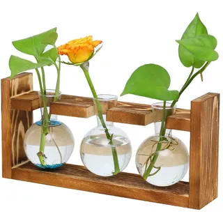 Reagenzglas Vase aus Holz, Holz Propagation Station, Reagenzglas Blumenvase, Hydroponische Vase mit Holzrahmen, Hydroponische Glasvase, für Office Home Decoration, 3 Bulb Vasen