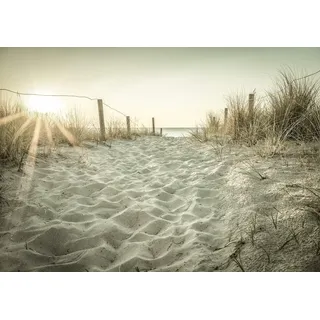 Forwall - Vlies Fototapete Nordsee Strand Meer Natur Dünen Sonne Landschaft 312x219 cm - Fototapeten - Tapeten - für Wohnzimmer Schlafzimmer - Vliestapete Wandtapete Tapete 3D Effekt- inkl. Kleister