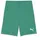 Puma teamGOAL Shorts Kinder 05 sport green/white 128