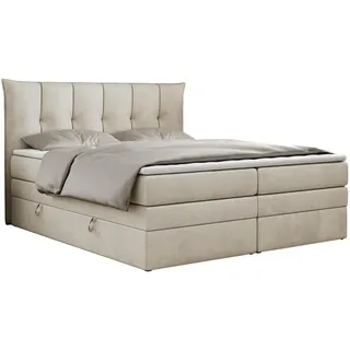 MKS Premium 10 King 200 x 200 cm H3 Beige