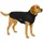 Hundebekleidung schwarz