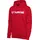 hmlGO 2 0 Logo 3062 true red S