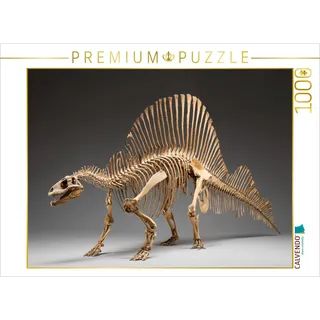 Calvendo Puzzle Dinosaurier Spinosaurus-Skelett mit langem Kiefer und Rückensegel 1000 Teile Lege-Größe 64x48cm Foto-Puzzle für glückliche Stunden