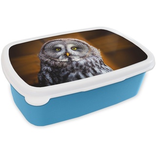 MuchoWow Lunchbox Porträt des Lapplandkauzes, Kunststoff, (2-tlg), Brotdose für kindergarten, Vesperbox, Snackbox, Brotbox, Jungen blau