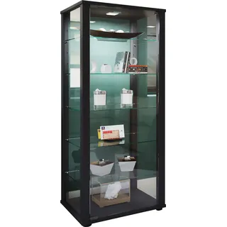 VCM Holz Glas Stand Vitrine Sammelvitrine Kavisa L