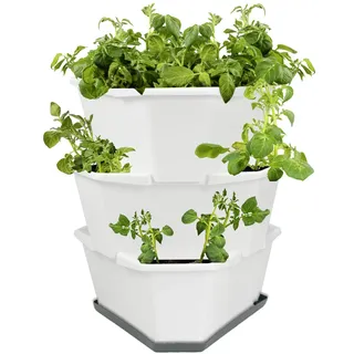 GUSTA GARDEN Paul Potato Starter Kartoffelturm - stapelbar - Hochbeet/Pflanzgefäß/Blumentopf für Balkon, Garten und Terrasse (3 Etagen, Weiß) inkl. Untersetzer