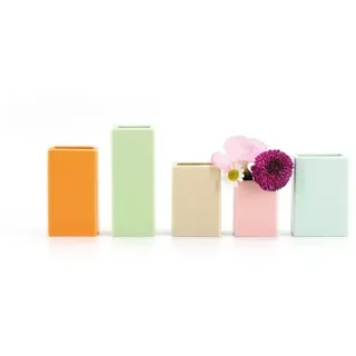 REMEMBER Mini-Vasen, 5er-Set - mehrfarbig