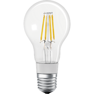 LDV4058075208551 - Smart Light, Lampe, E27, 5,5W, Filament, SMART+, HomeKit