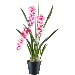 P & B Kunstpflanze, Rosa, Weiß, Kunststoff, 80 cm, Real-Touch-Oberfläche, Dekoration, Blumen & Zubehör, Kunstpflanzen