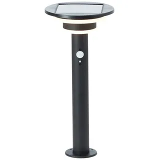 Brilliant Außenstandleuchte Edelstahl 45 cm 430 lm inkl. Bewegungsmelder schwarz