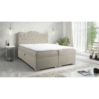 Boxspringbett Schlafzimmerbett SULTAN New in Stoff Velvet X Beige 220x200cm - Beige