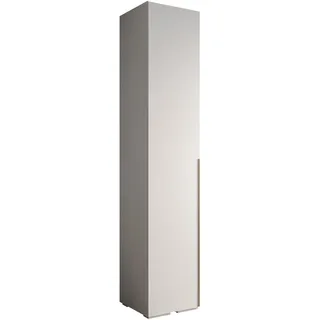 DREHTÜRENSCHRANK 236.7/50/47 1-türig