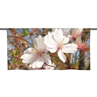 gardinen-for-life Scheibengardine Cafehausgardine mit tollem Motiv "Blütenpracht" - Voile Transparent 90 cm x 25 cm