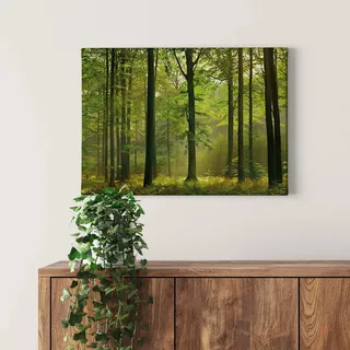 Bricoflor Wald Bild Auf Leinwand In Grün Wohnzimmer Und Schlafzimmer Bild Mit Wald Und Sonnenstrahlen Herbstwald Leinwandbild Auf Keilrahmen