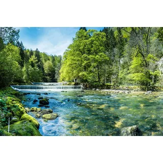 Muralo Fabelhafte Vlies Fototapete 460x300 Wald Bäume Wasserfall Natur Moderne Tapete Wohnzimmer Schlafzimmer Wandbilder Wandtapete XXL Luxus Abstrakt Br.460xHö.300