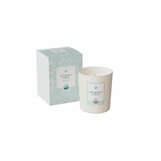 Engels Kerzen Duftkerze SENTIMENTALS M Jasmine
