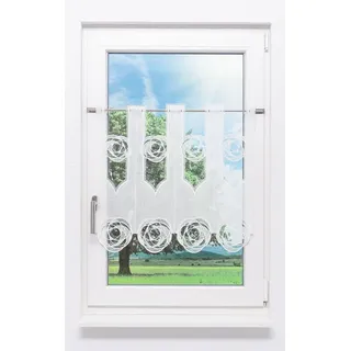 Plauener Spitze® Scheibengardine Circles (1 St), transparent, HxB 60x80cm weiß 80 cm x 60 cm