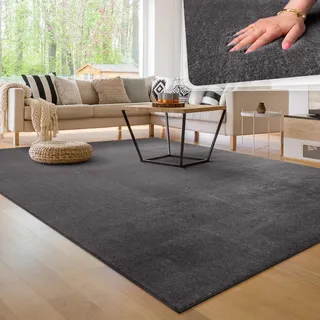 Paco Home Moderner Wohnzimmer Teppich Kurzflor Waschbar Weich Felloptik Anti-rutsch Grösse 200x280 cm,