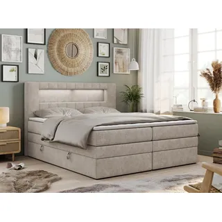 MKS Gold-5-King 140 x 200 cm H4 Beige