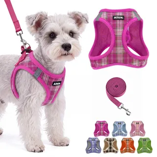 AIITLE No-Pull-Hundegeschirr mittlere Größe mit Leinen, Knallrosa L | Atmungsaktives Luftnetz, Klettverschluss-Design, Einfaches An- und Ausziehen, Reflektierende, Zugfrei beim Gassigehen