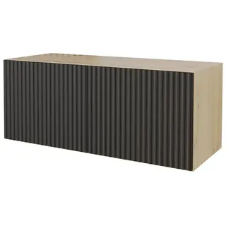 altdecor NOA-2 Lowboard 100 cm x 40 cm x 40 cm Schwarz Holz
