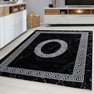 Ayyildiz Plus 8009 Webteppich 160 x 230 cm Schwarz/Weiß