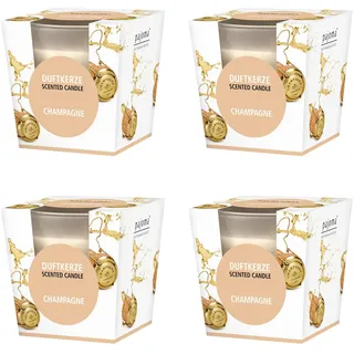 pajoma® Duftkerze 4er Set, Champagne - im satinierten Glas | 4x 120g Wachsgewicht, Brenndauer: 25 Stunden, in edler Geschenkverpackung | Premium Qualität