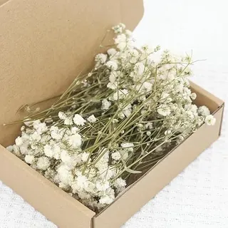 Schleierkraut Getrocknet Weiß, 100 Stück Trockenblumen Schleierkraut,Natürliche Getrocknete Blumen Für DIY Hochzeitsdeko, Harzschmuck, Bastelprojekte