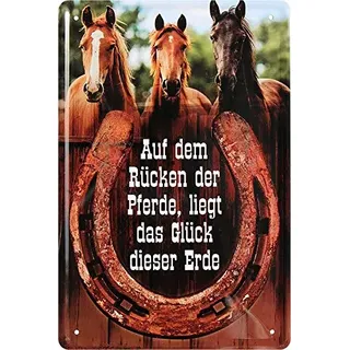 Blechschilder Lustiger Spruch “Auf dem Rücken der .“ Deko Pferd Hängeschild Türschild Metallschild Hauseingang Reiten Schild Geschenkidee für alle Pferdebesitzer oder Pferde Fans 20x30 cm